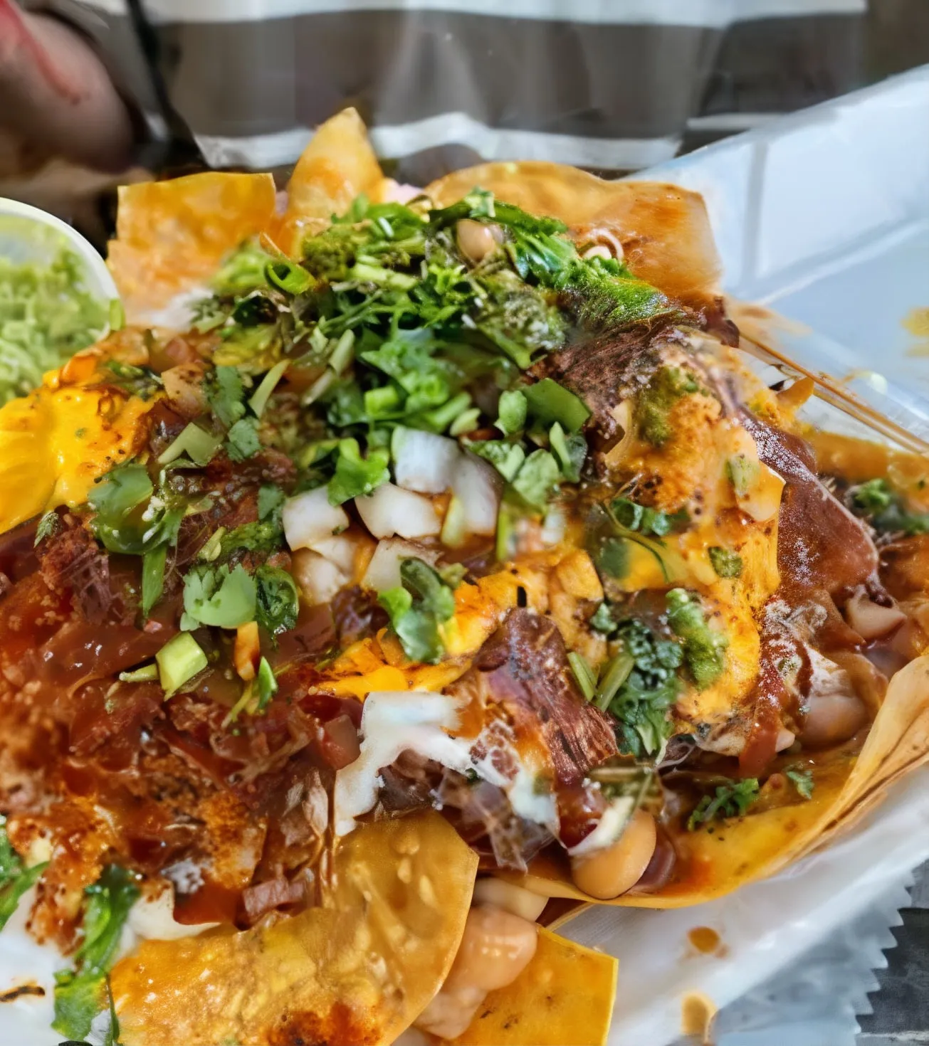 Birria Chips