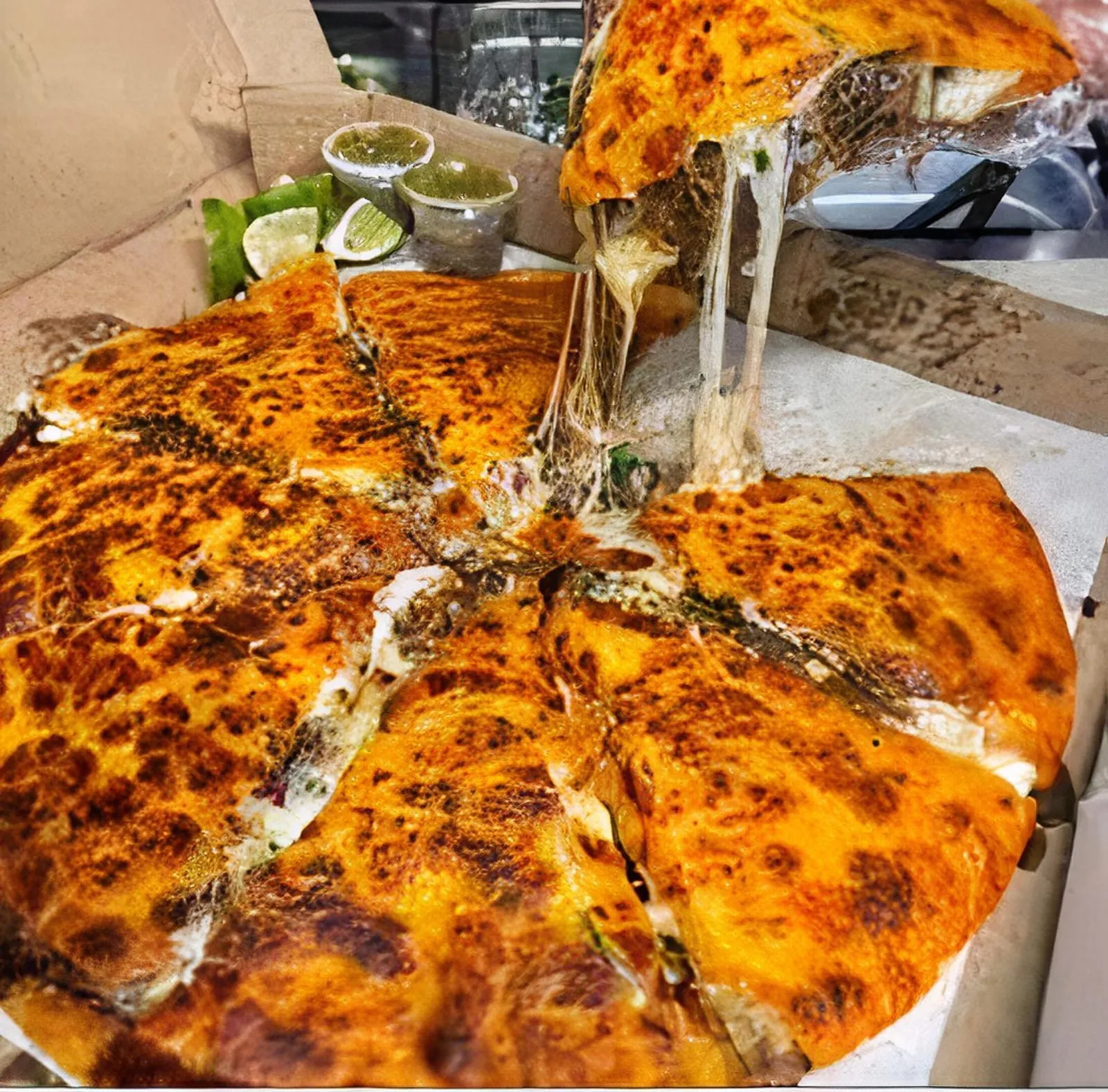 Pizza birria